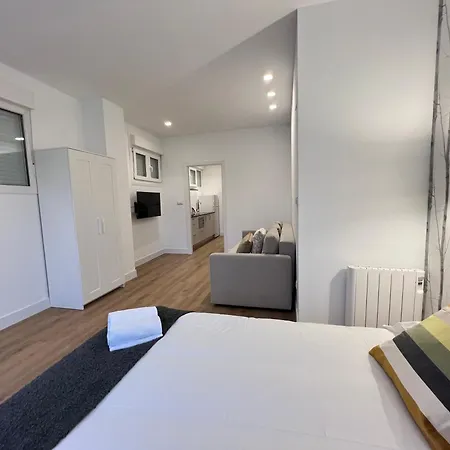 Bizi I,ii,iii Apartman Bilbao